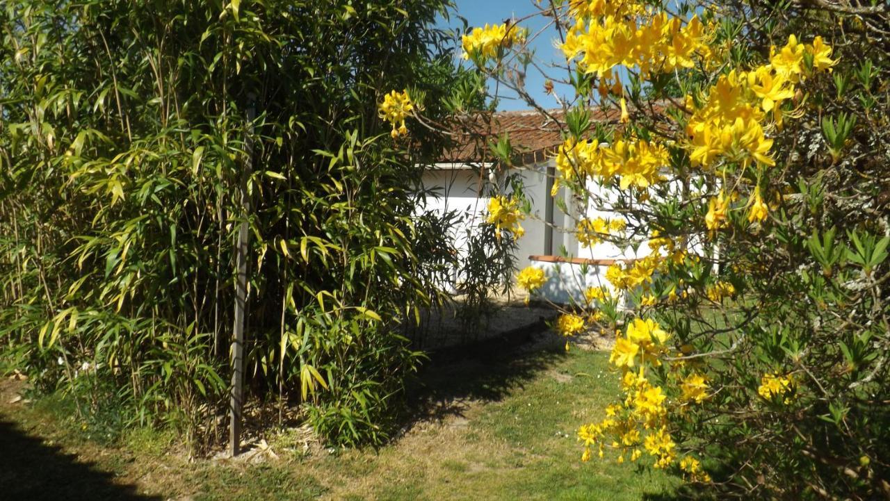 Вилла Breesfalt Gite Accomodation Maisonnais-Sur-Tardoire Экстерьер фото